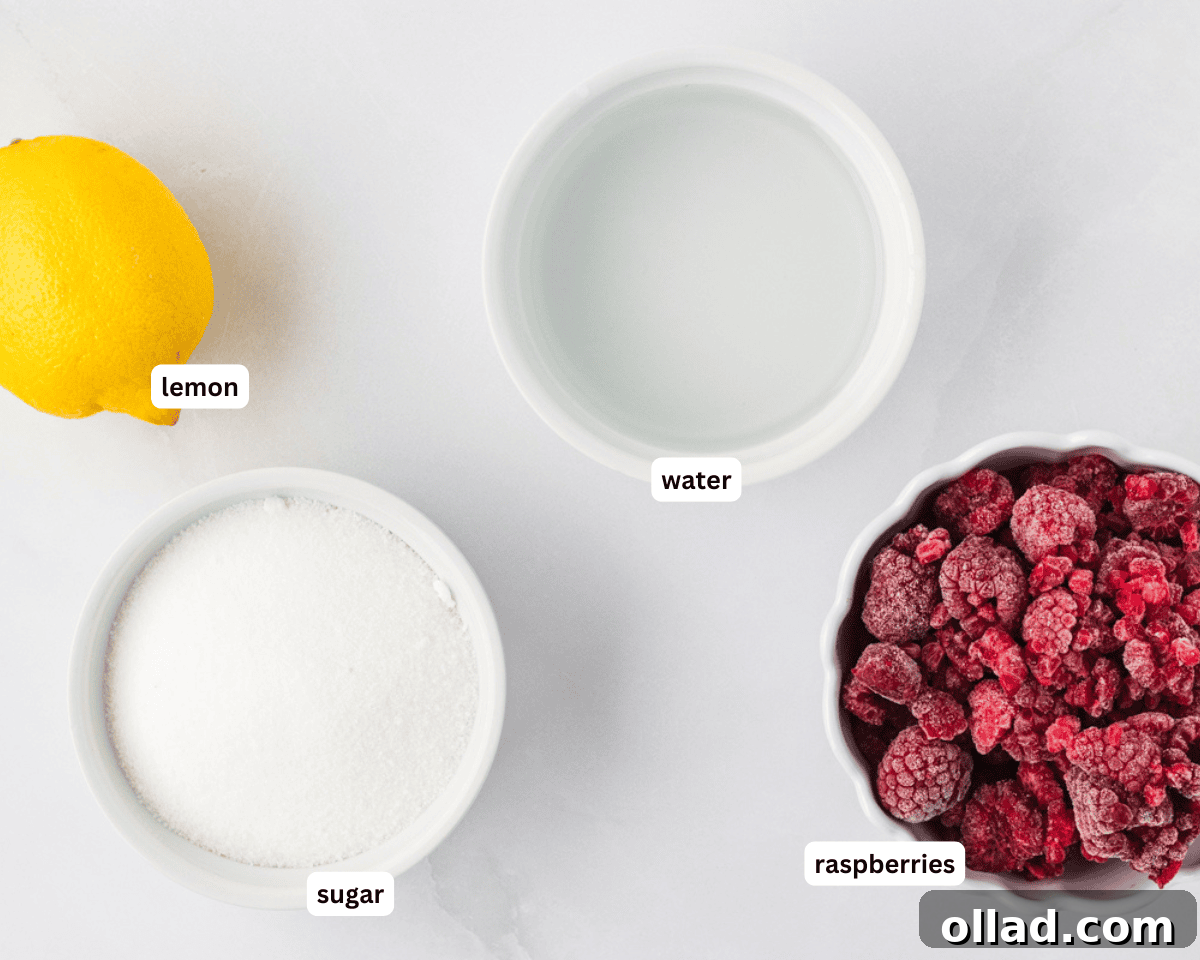 A collection of raspberry sorbet ingredients including frozen raspberries, sugar, water, and fresh lemons, neatly arranged on a white surface.