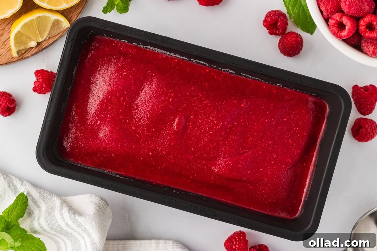A black container of raspberry sorbet mixture, neatly covered, set on a counter surrounded by fresh raspberries, lemon slices, and mint leaves, waiting to be frozen.