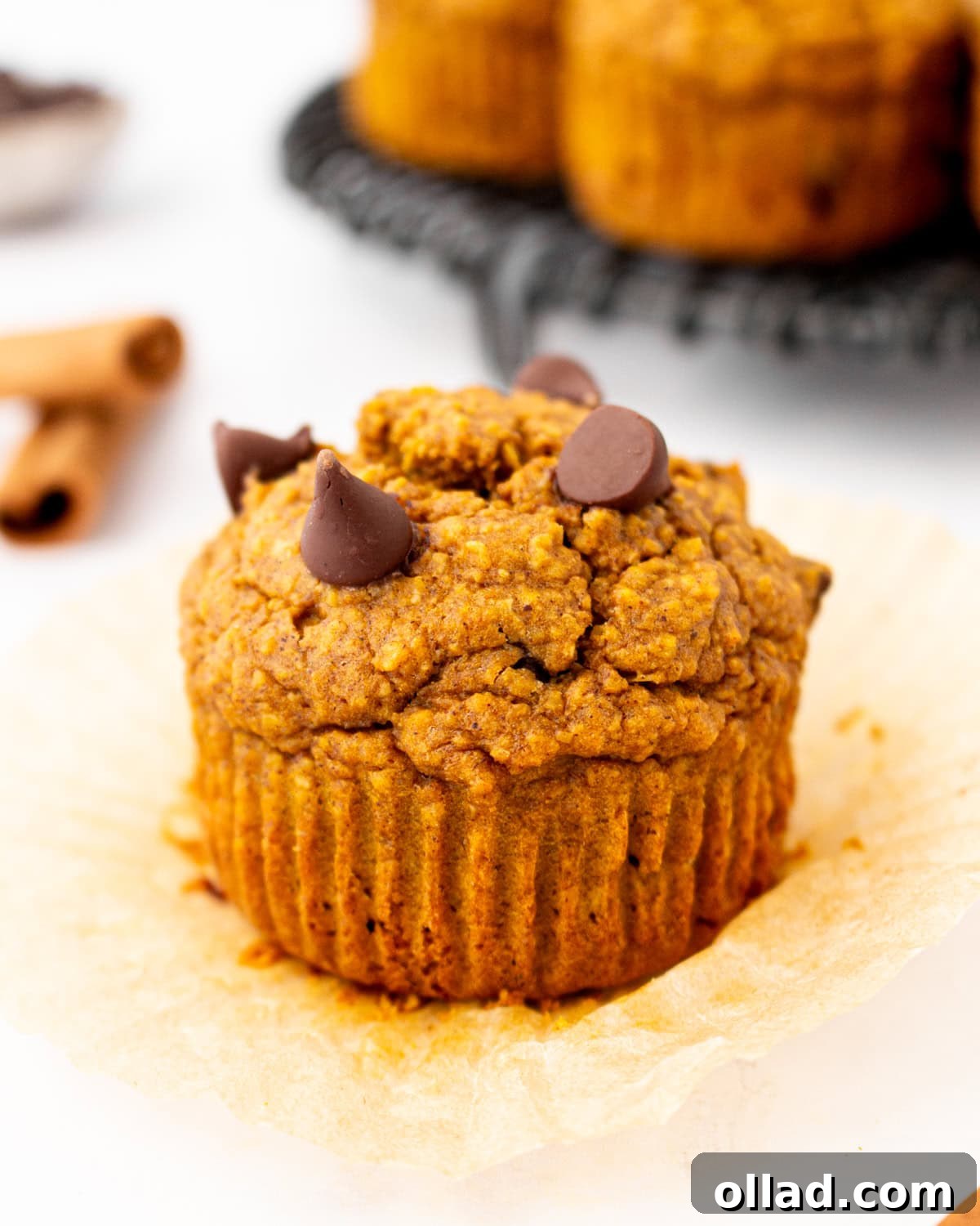 Flourless pumpkin muffin unwrapped on parchment liner, topped with melty chocolate chips and ready to eat.