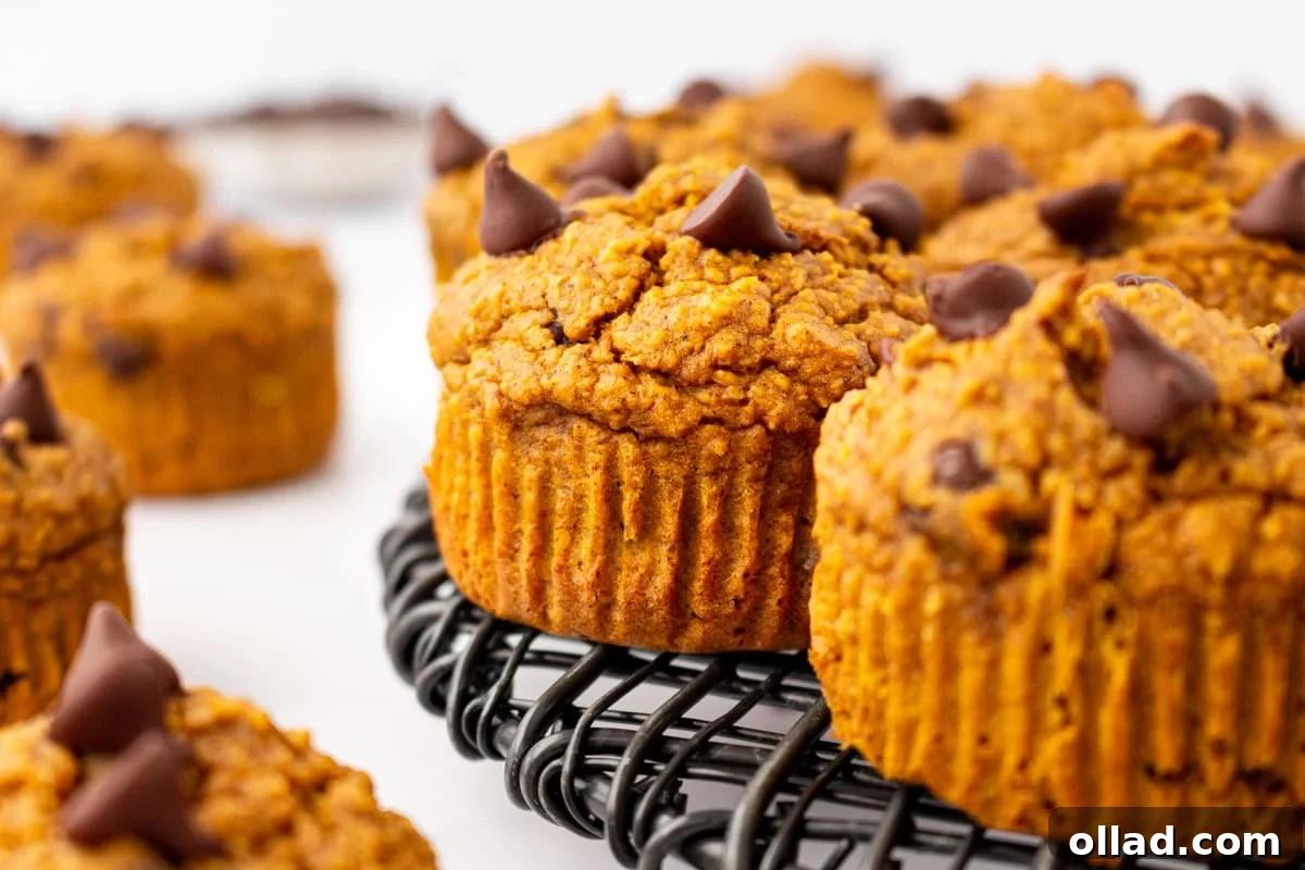 Flourless pumpkin muffins cooling on a wire rack, showing their soft, fluffy texture and melted chocolate tops.