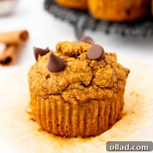 Flourless pumpkin muffin unwrapped on parchment liner, topped with melty chocolate chips and ready to eat.