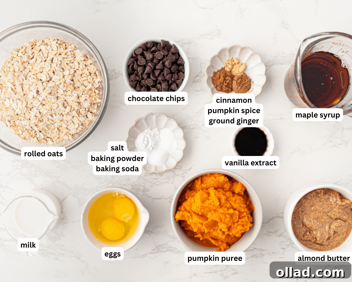 Flourless pumpkin muffin ingredients laid out on a kitchen counter, including pumpkin puree, oats, almond butter, eggs, maple syrup, milk, vanilla, and various spices.