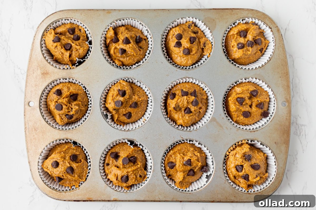 Muffin tin lined with paper cups filled with pumpkin batter and topped with chocolate chips, ready for the oven.