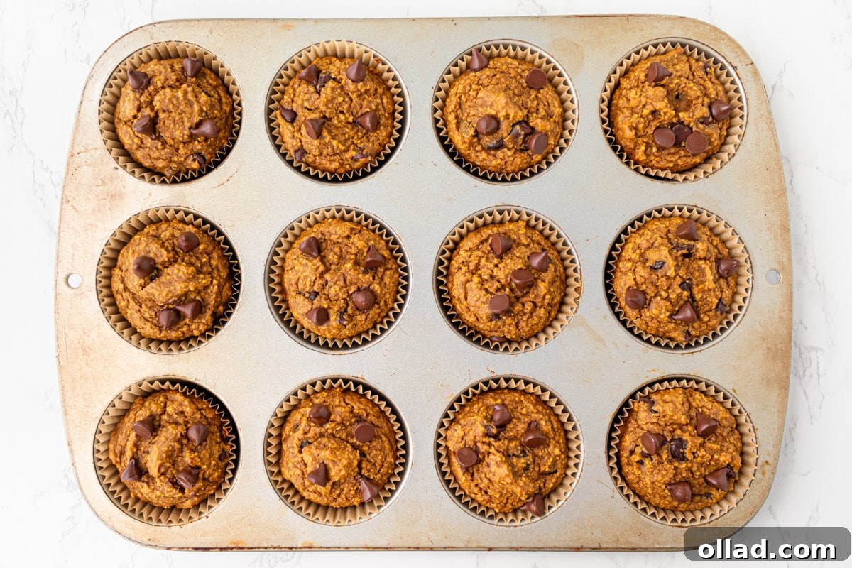 Tray of freshly baked flourless pumpkin muffins, golden and studded with chocolate chips right out of the oven.