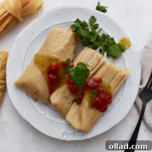 Two gluten-free tamales on a white plate topped with salsa verde and red enchilada sauce, garnished with fresh cilantro.