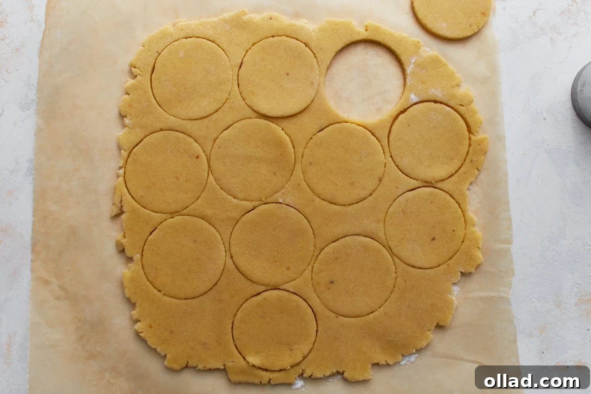 Rolled-out almond flour sugar cookie dough with round cookie shapes cut out.