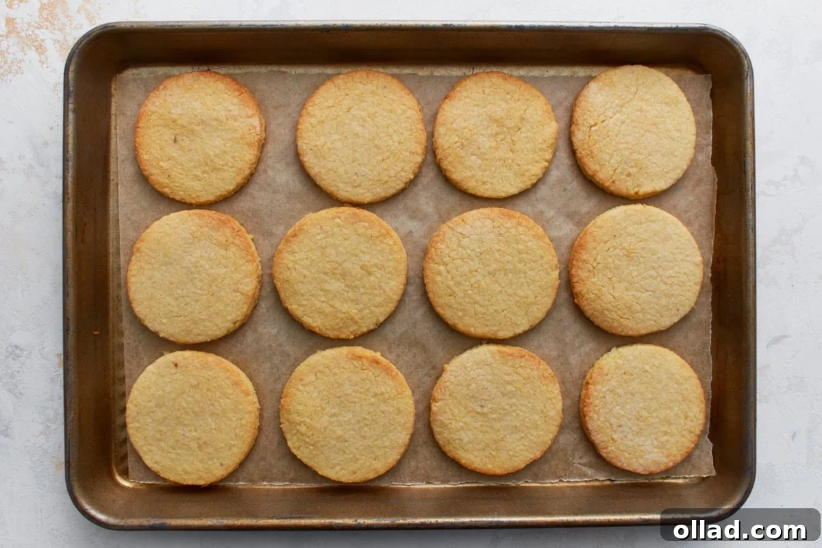 Freshly baked almond flour sugar cookies on a baking sheet with lightly golden edges.