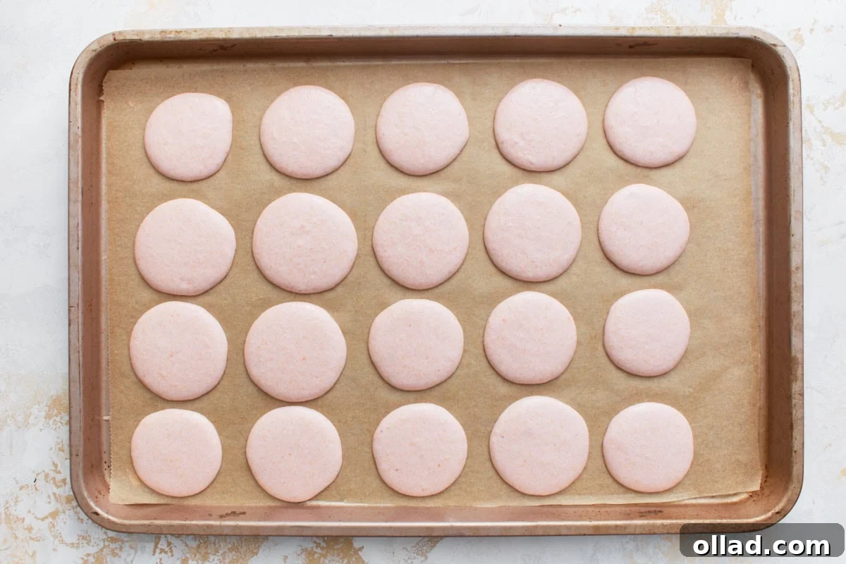 Irresistible Gluten-Free French Macarons 10 Macaron shells after resting at room temperature, their tops smooth and matte to the touch, indicating they are ready for the oven.