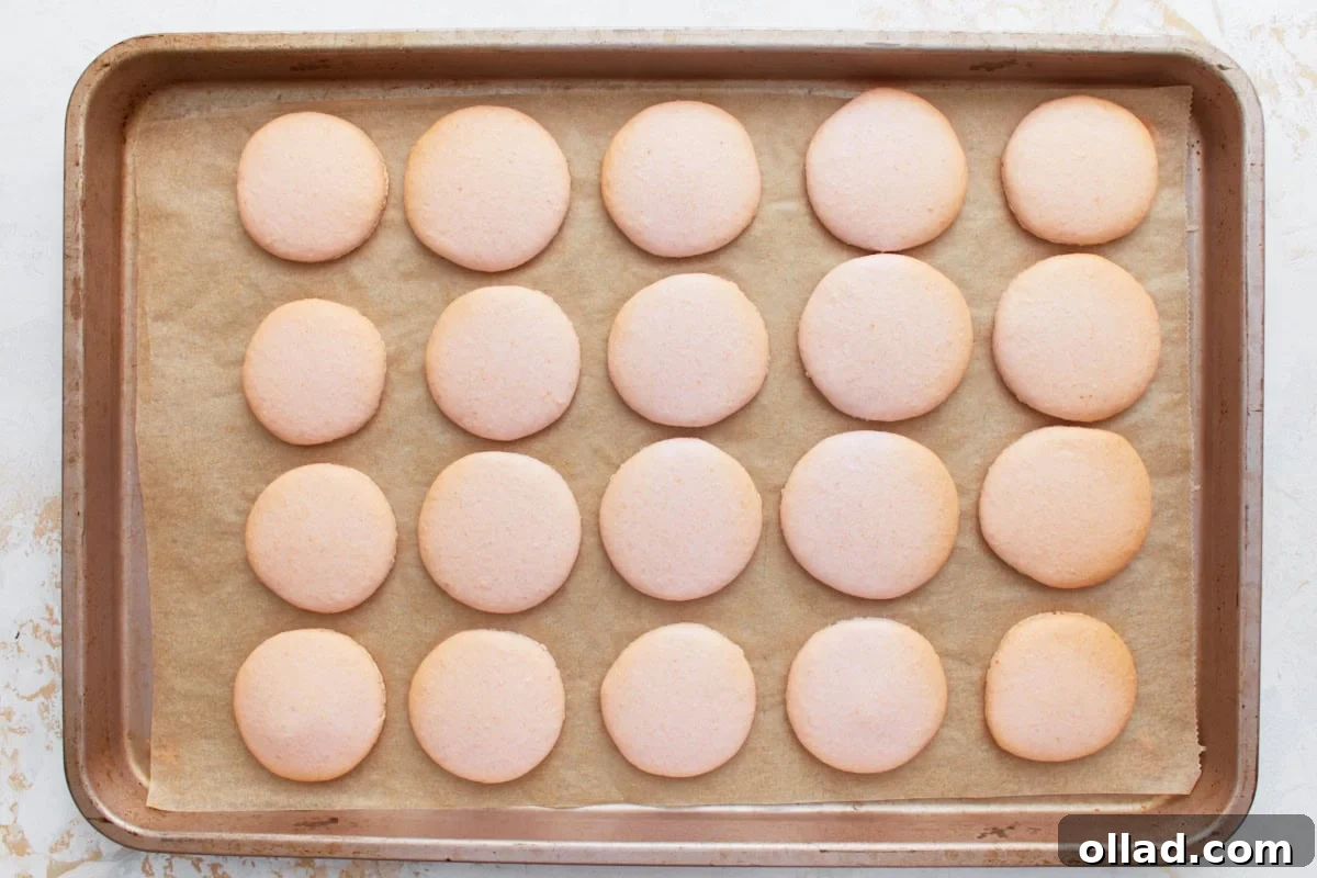 Irresistible Gluten-Free French Macarons 11 Freshly baked pink macaron shells cooling on a parchment-lined tray, showcasing perfectly risen 'feet' and smooth, crack-free tops.
