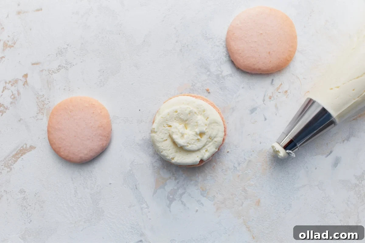 Irresistible Gluten-Free French Macarons 13 An open macaron shell with a perfectly piped swirl of vanilla buttercream filling, ready for its top shell, alongside plain shells and a piping bag.