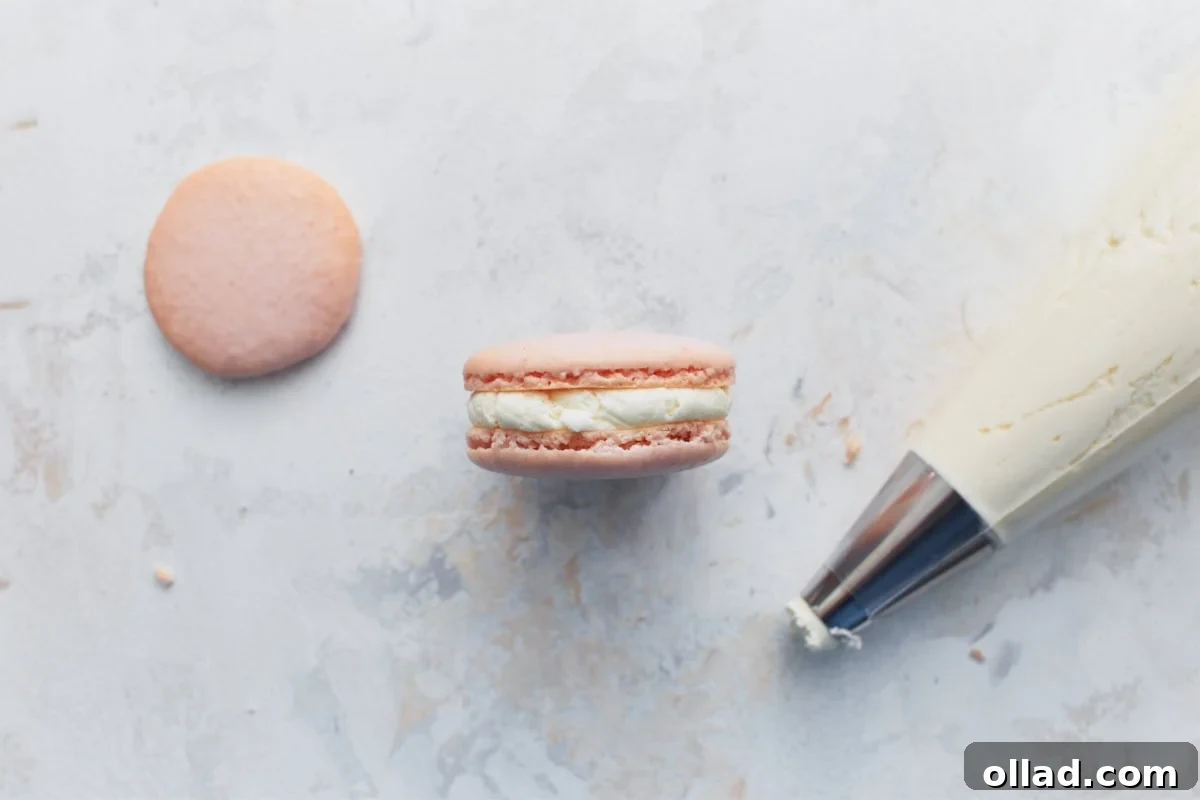 Irresistible Gluten-Free French Macarons 14 A single, perfectly assembled macaron with creamy vanilla filling, positioned next to a piping bag and a scattering of extra macaron shells on a rustic wooden surface.