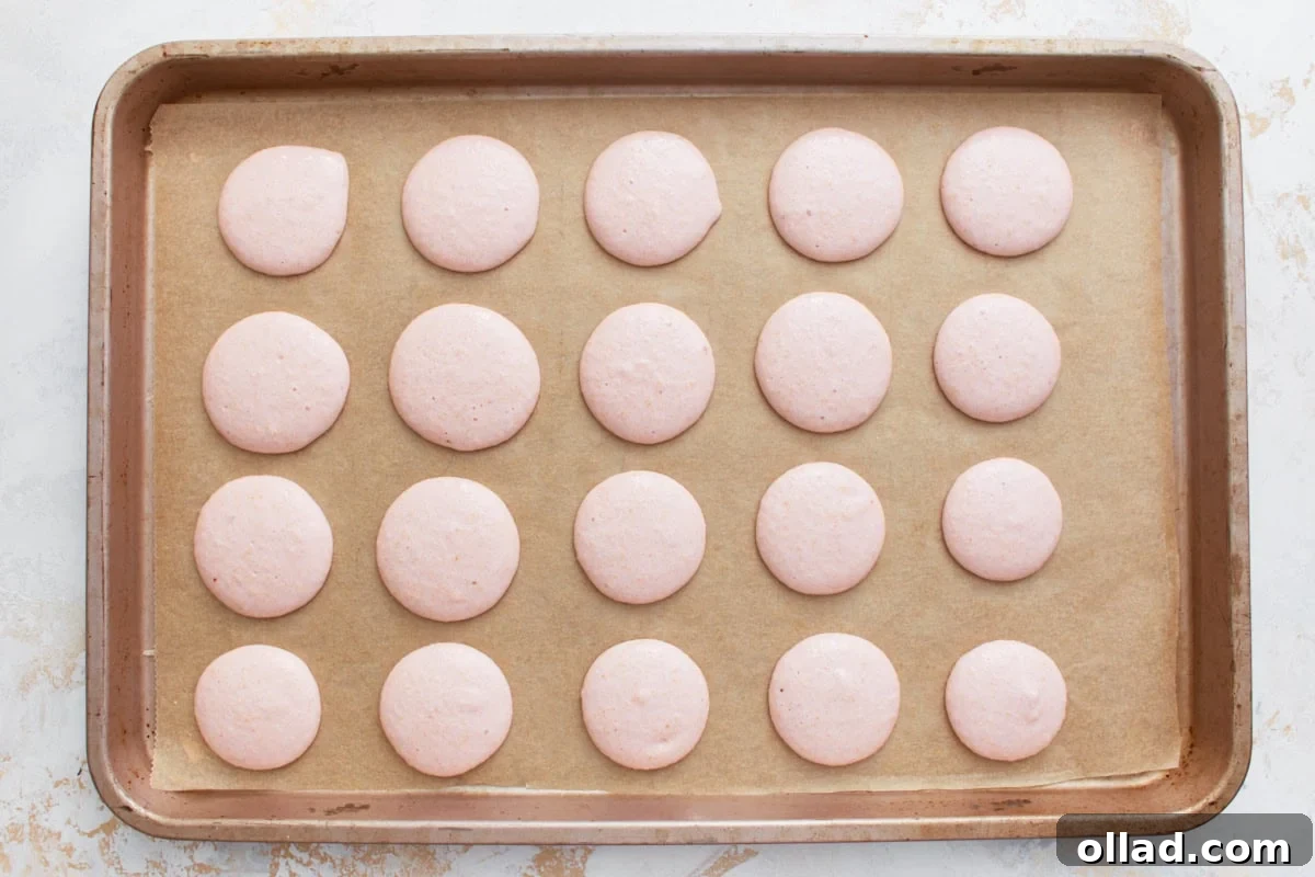 Irresistible Gluten-Free French Macarons 9 A baking sheet neatly arranged with unbaked macaron shells, perfectly piped into uniform 1-inch circles on parchment paper, awaiting their resting period.