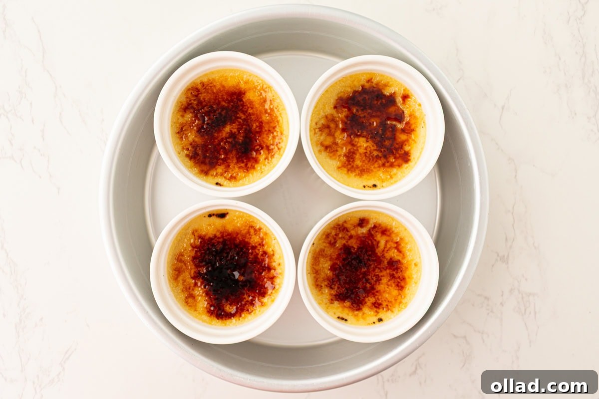 Four dairy-free crème brûlée custards with caramelized sugar tops sitting in a round baking dish.