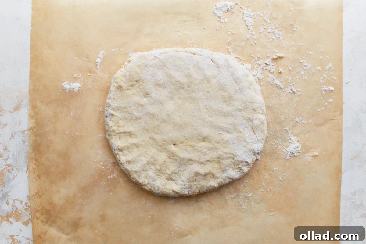 Final round of biscuit dough, perfectly shaped and floured, resting on parchment paper and ready for cutting into individual biscuits.