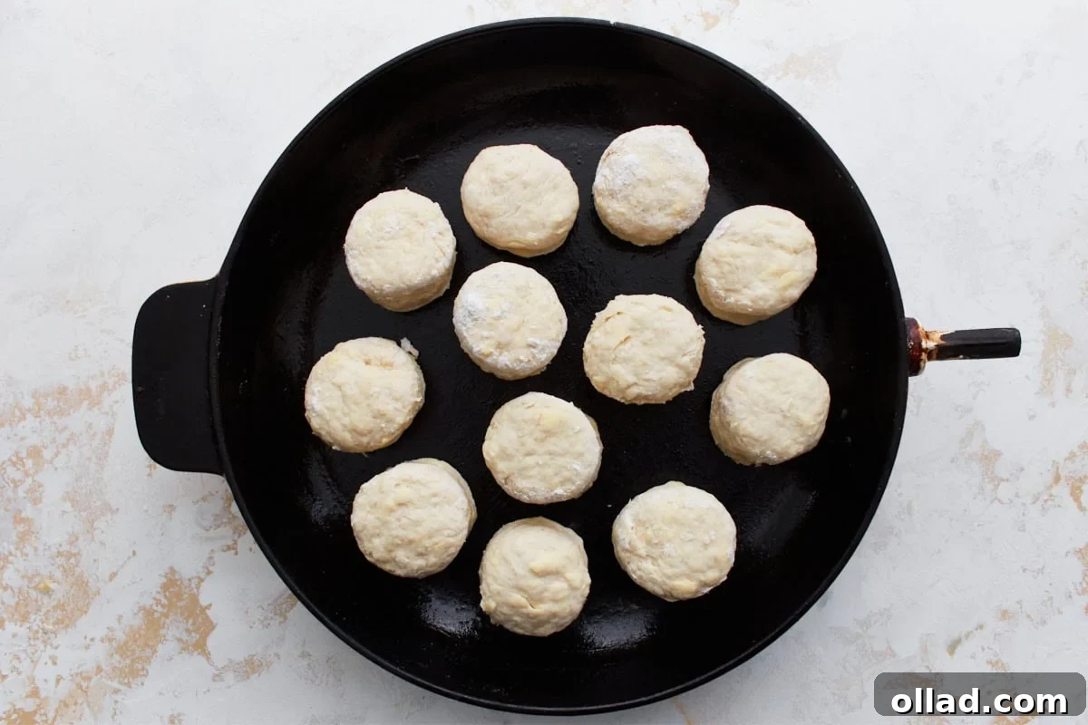 Raw gluten-free biscuit rounds arranged closely together in a cast iron skillet, ready to be baked to a golden, fluffy perfection.
