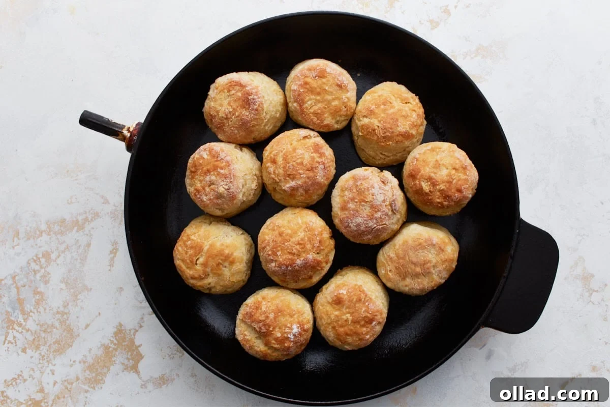 Freshly baked gluten-free buttermilk biscuits still in the cast iron skillet, golden brown and beautifully puffed, showing their tender appearance.