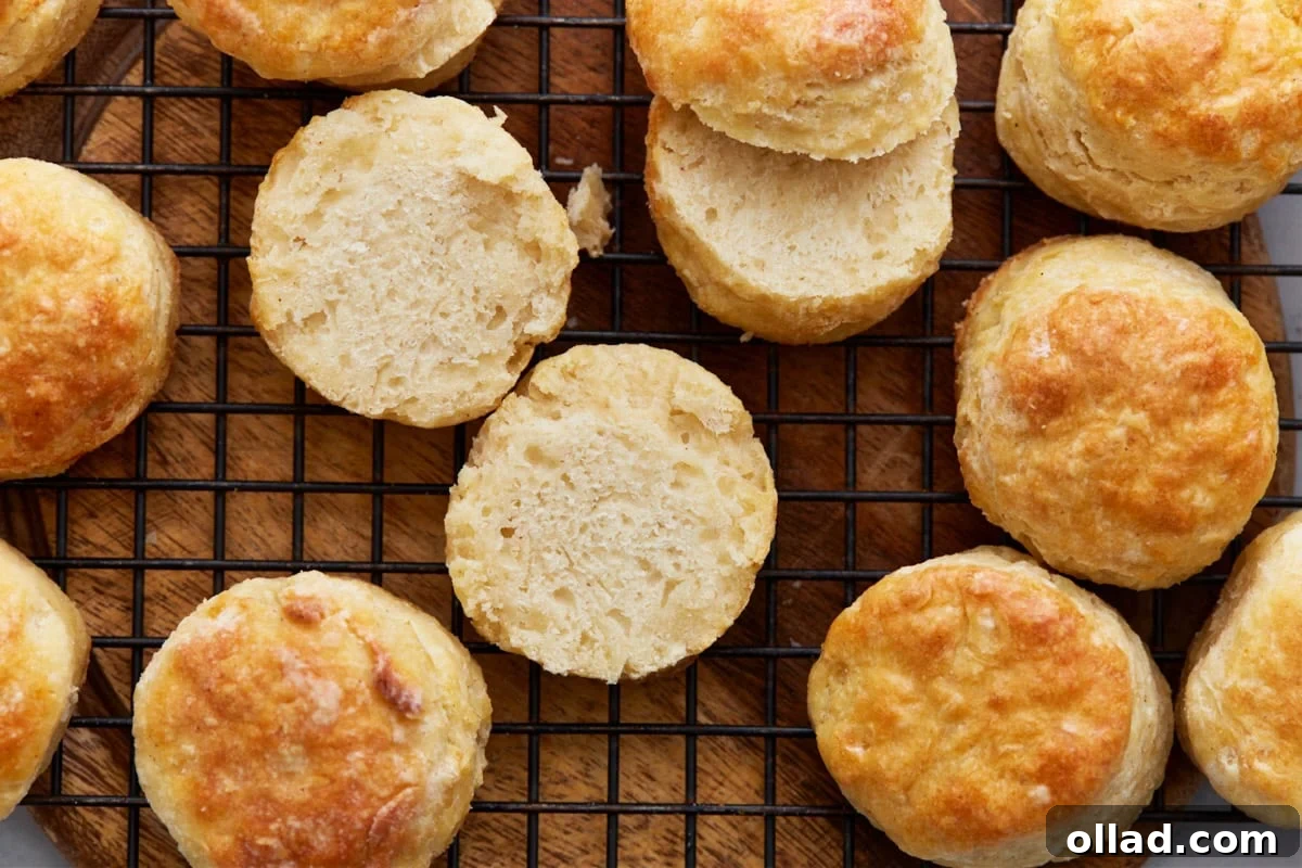 Overhead view of several perfectly baked and split gluten-free biscuits on a wire rack, revealing their tender, fluffy interior texture.