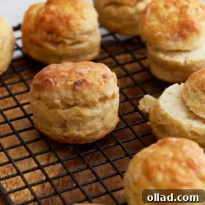 Freshly baked gluten-free buttermilk biscuits cooling on a wire rack, showing golden tops and flaky layers.