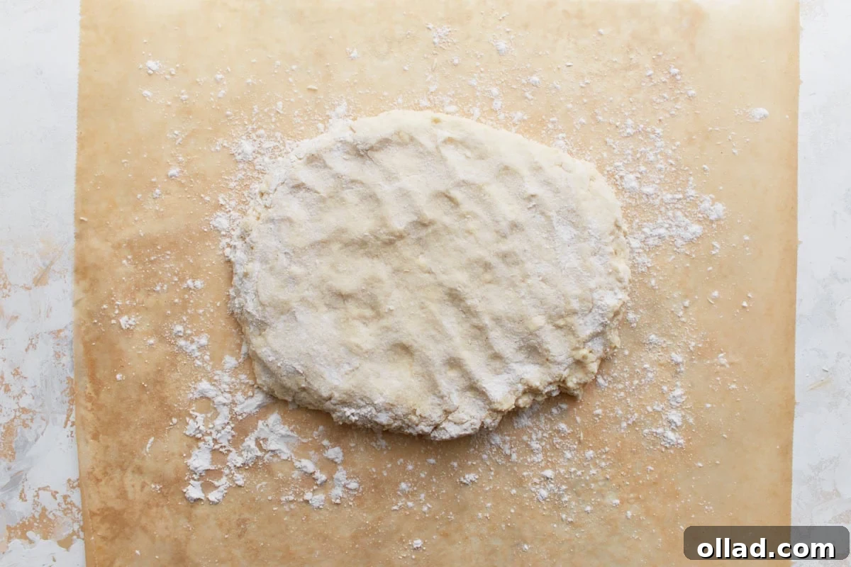 Flattened biscuit dough formed into a round disk on the floured parchment paper, showing the ideal shape and readiness for cutting.