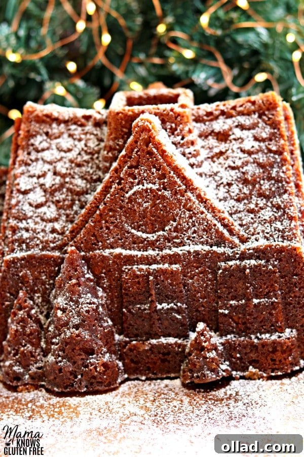 Perfect Gluten-Free Gingerbread Cake Easily Dairy-Free 4 Close-up of a gluten-free gingerbread bundt cake in the shape of a house.