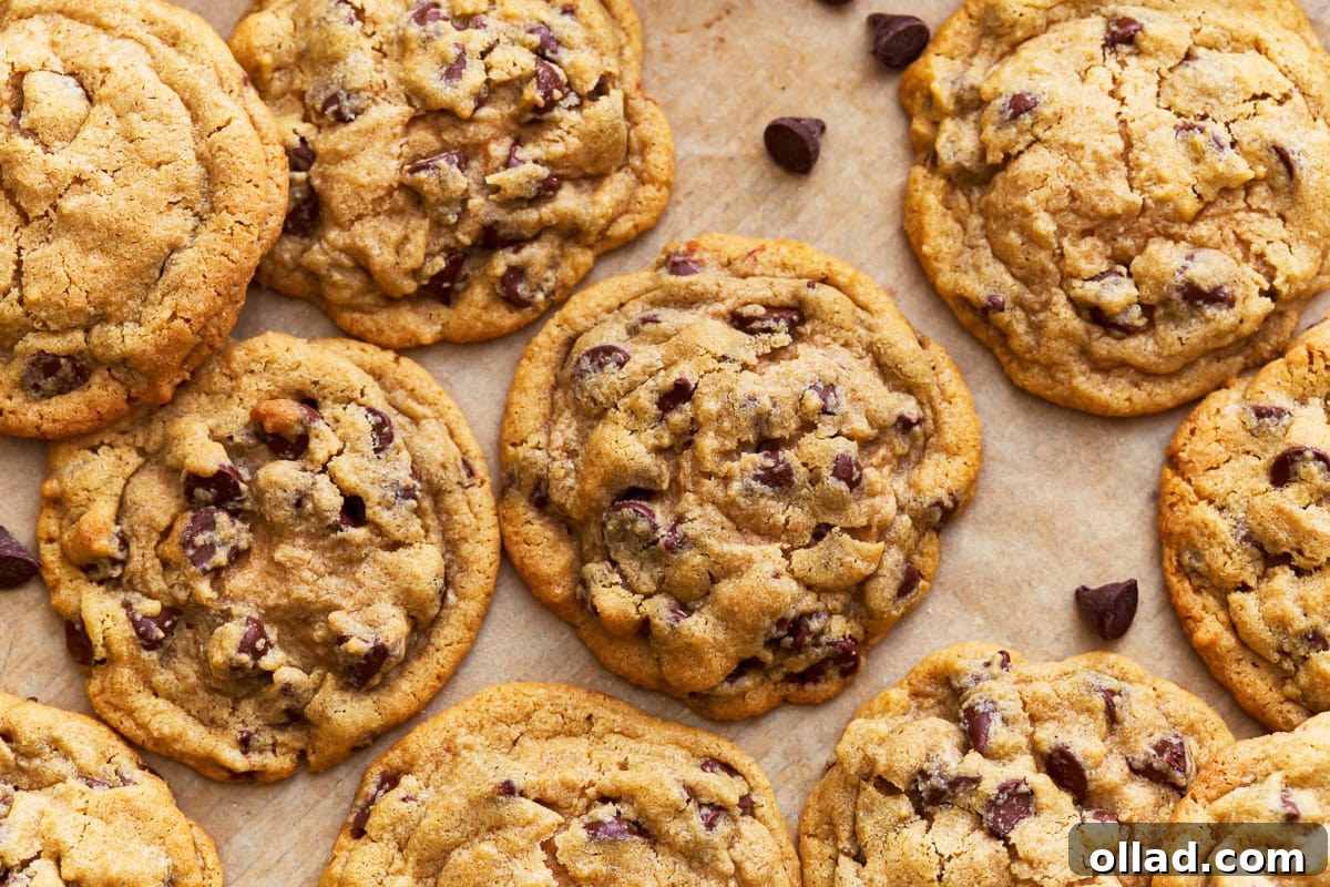 Freshly baked gluten-free chocolate chip cookies cooling on a parchment-lined baking sheet