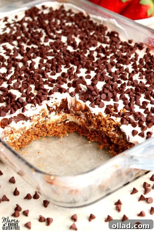 Guilt Free Chocolate Lasagna Bliss 6 A pan of chocolate lasagna dessert with one slice cut out, and strawberries in the background