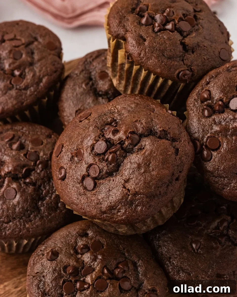 Decadent Gluten-Free Double Chocolate Muffins 2 Close-up of a stack of moist gluten-free double chocolate muffins topped with melty chocolate chips, ready to be enjoyed.