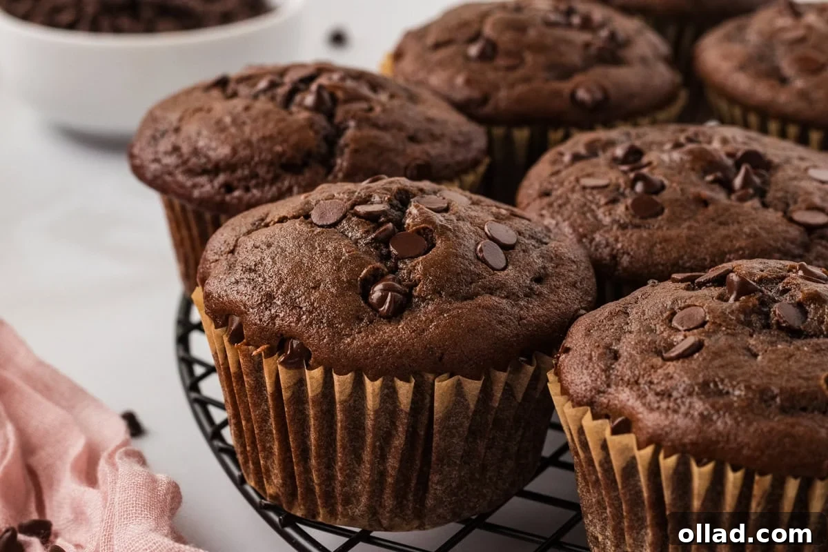 Decadent Gluten-Free Double Chocolate Muffins 10 Baked gluten-free double chocolate muffins cooling on a wire rack, showcasing their soft texture and visible chocolate chips, ready to be enjoyed.