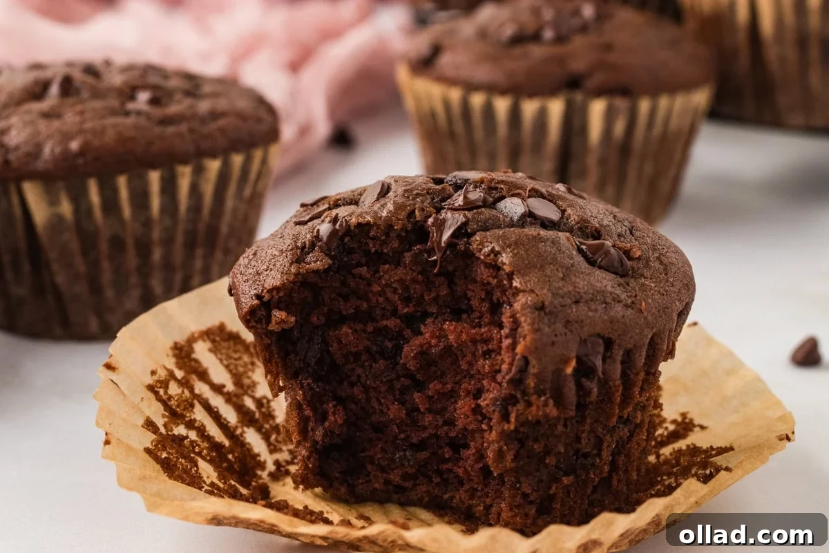 Decadent Gluten-Free Double Chocolate Muffins 11 Close-up of a bitten-into gluten-free chocolate muffin, revealing its rich, moist crumb and gooey melted chocolate chips, inviting a taste.