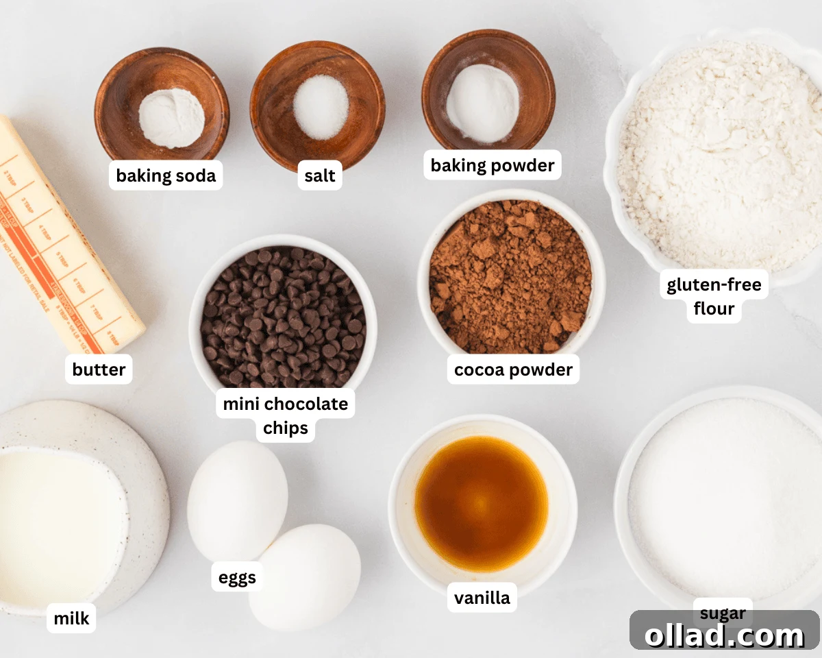 Decadent Gluten-Free Double Chocolate Muffins 4 All the dry and wet ingredients laid out neatly on a clean kitchen surface, ready for mixing to create gluten-free double chocolate muffins.