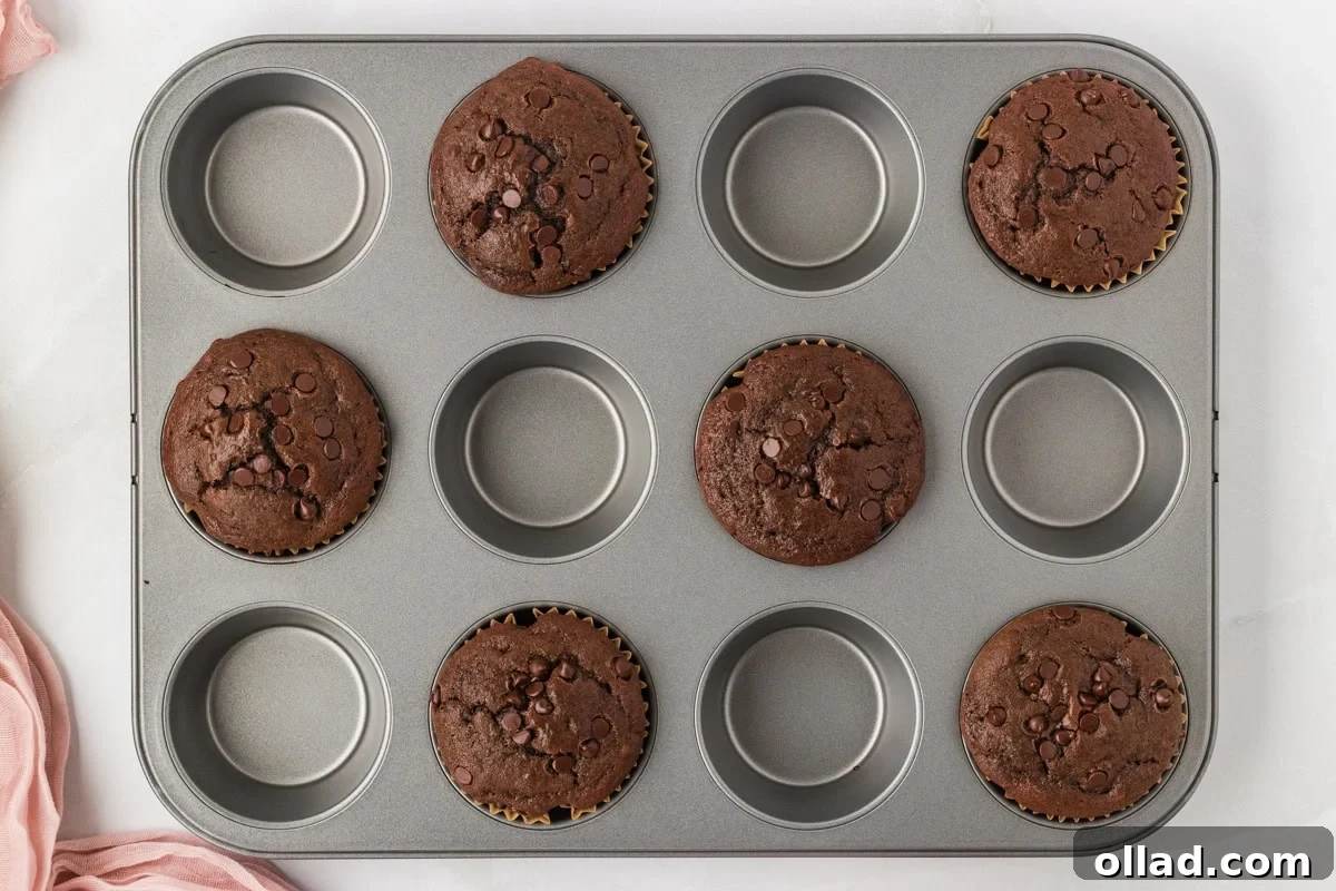 Decadent Gluten-Free Double Chocolate Muffins 9 Freshly baked gluten-free chocolate muffins still in the muffin tin, with perfectly domed tops and visible melted chocolate chips, just pulled from the oven.