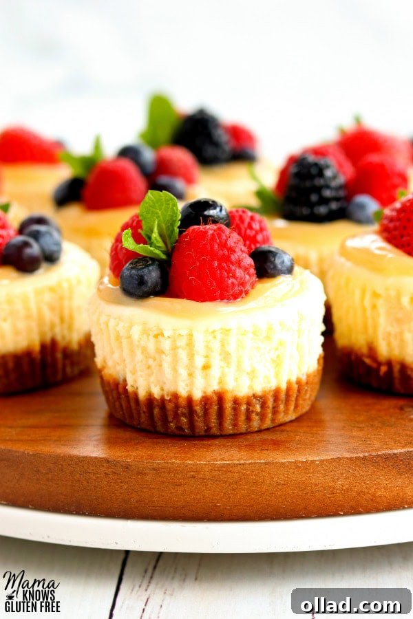 zoomed in shot of gluten-free min cheesecakes topped with lemon curd and berries