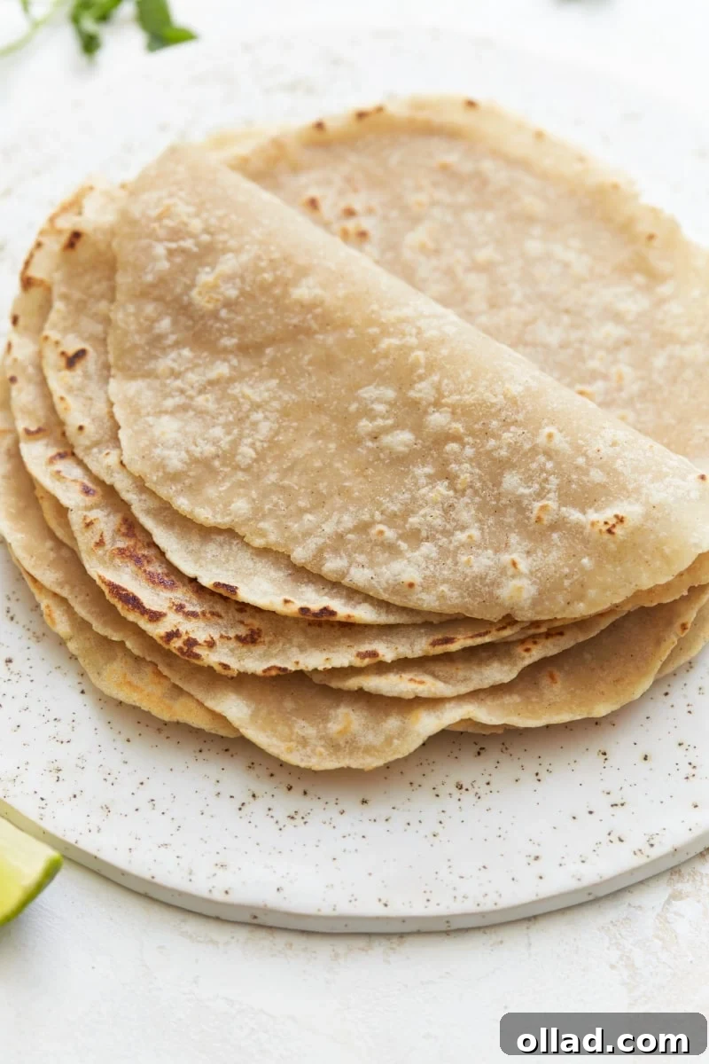 gluten-free tortillas folded on a white plate
