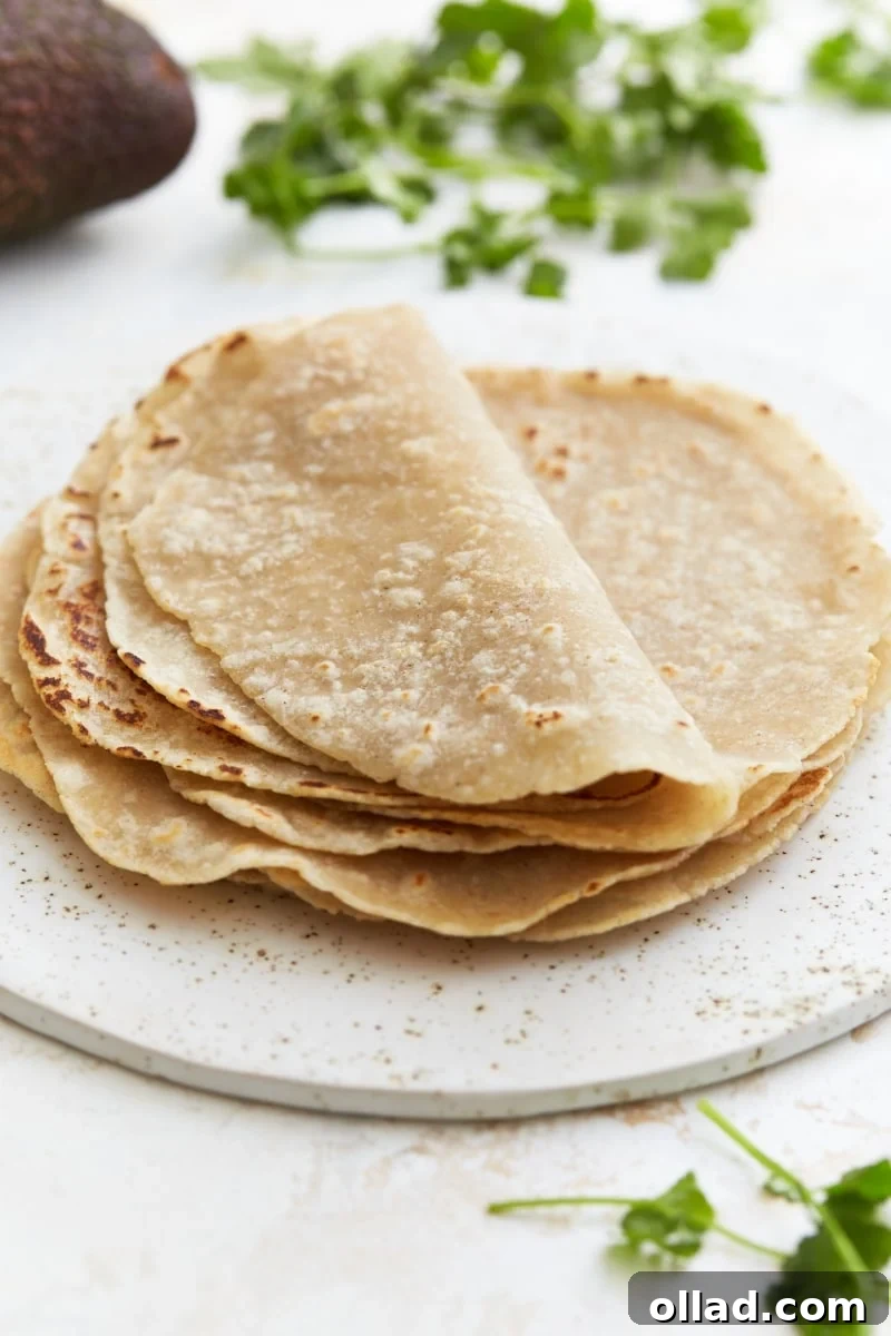 gluten-free flour tortillas folded on a white plate with an avocado and cilantro in the background