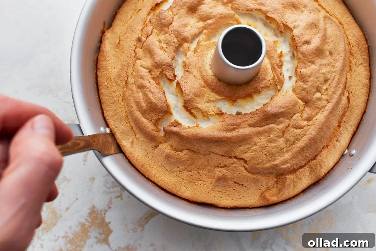 Cloud-Light Gluten-Free Angel Food Cake 12 A hand gently loosening the edges of a perfectly cooked gluten-free angel food cake from its tube pan using a butter knife.