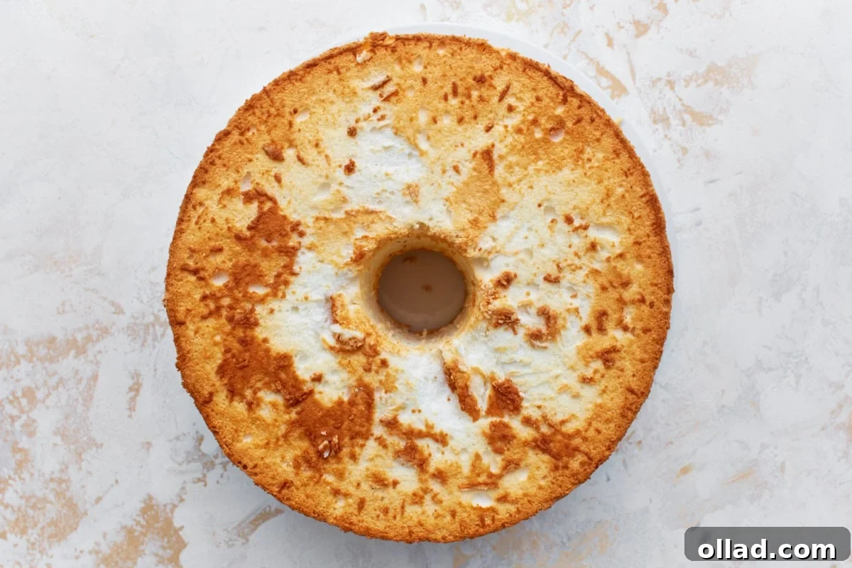 Cloud-Light Gluten-Free Angel Food Cake 13 A fluffy, golden-brown gluten-free angel food cake, perfectly inverted onto a light-colored countertop, removed from its pan.