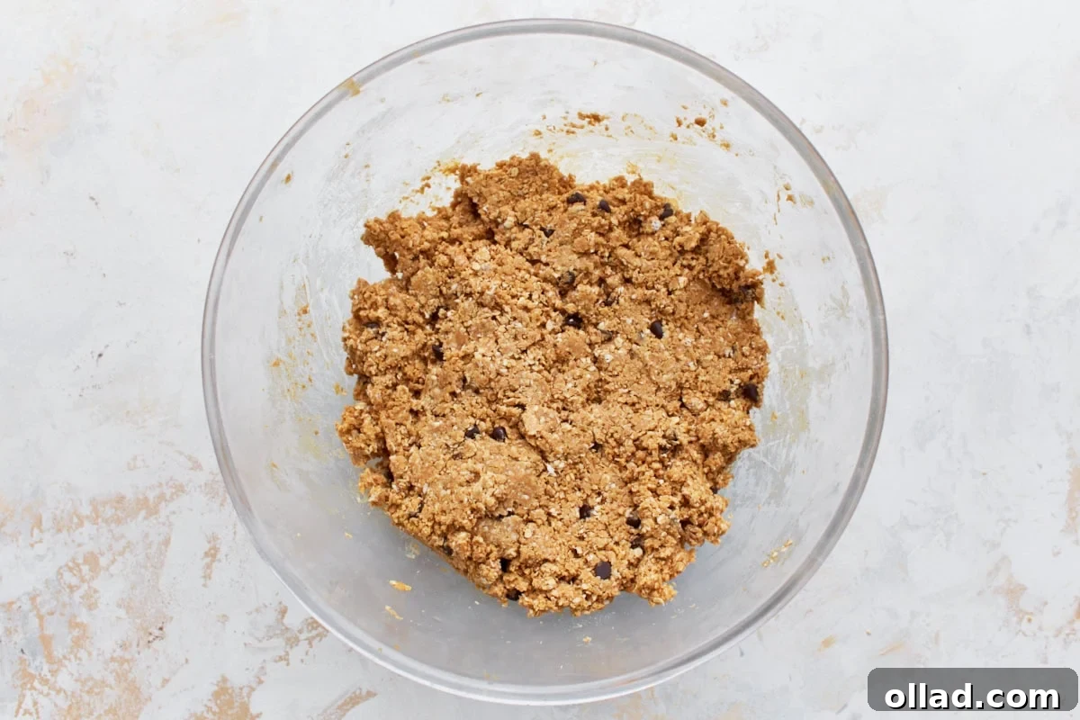 Simple & Delicious Homemade Gluten-Free Granola Bars 6 Gluten-free granola bar dough mixed with chocolate chips in a glass bowl, showing the crumbly texture before pressing.