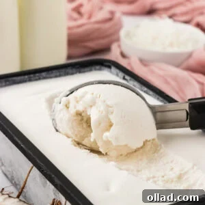 Scoop of creamy coconut sorbet in a loaf pan with shredded coconut and coconut milk in the background.