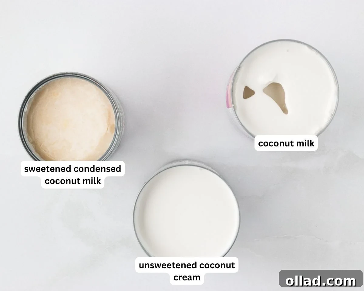ingredients to make coconut sorbet