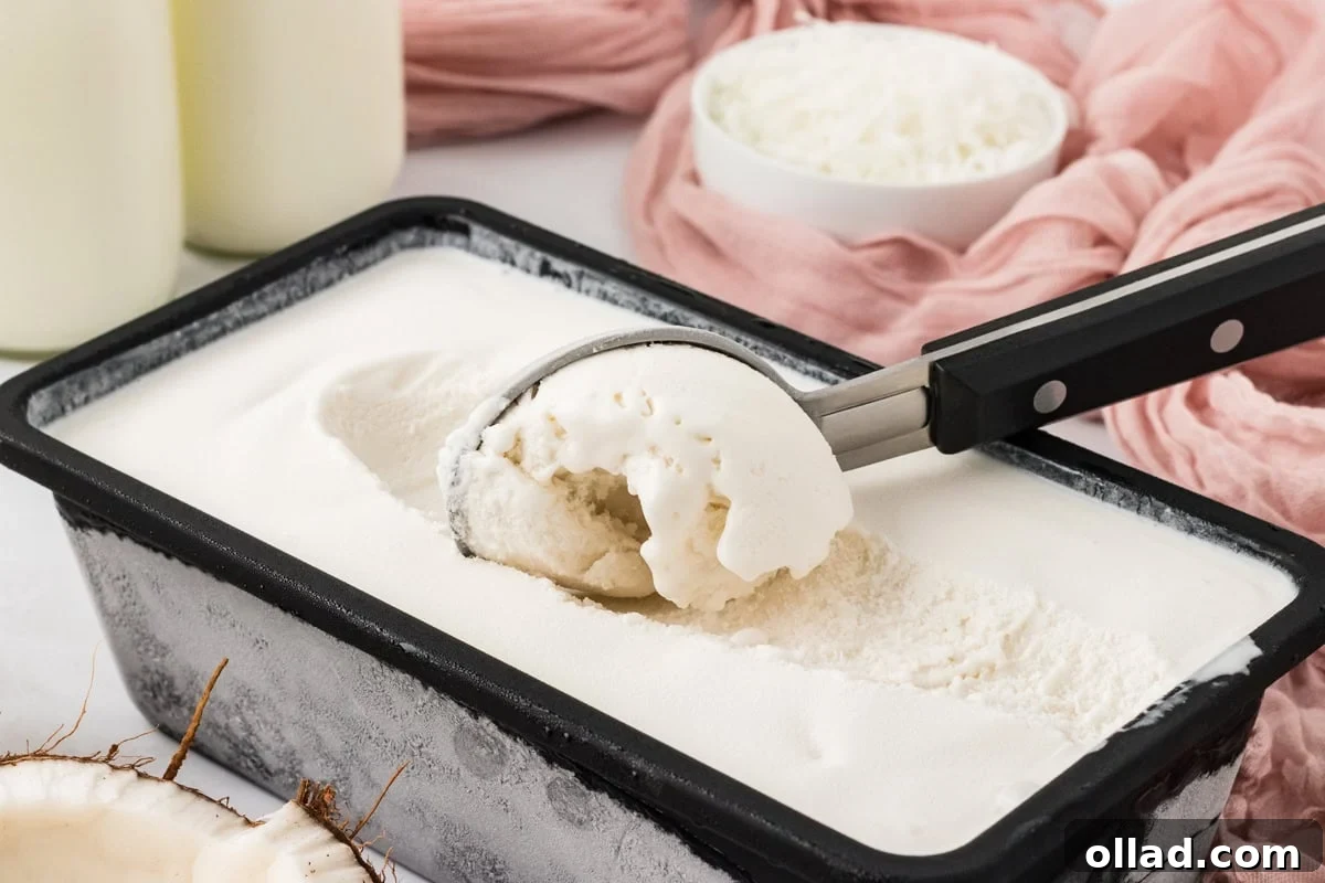 Scoop of creamy coconut sorbet served straight from the freezer container.