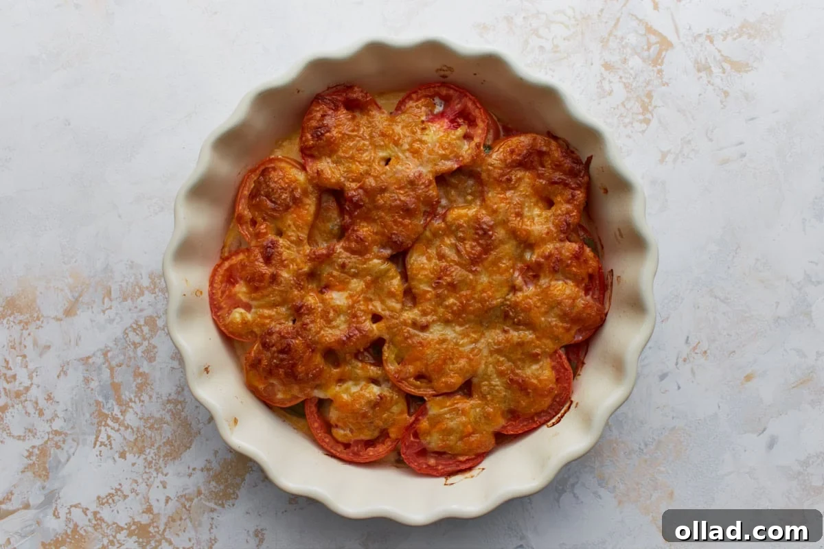 Freshly baked crustless tomato pie with golden melted cheese in a white scalloped pie dish.