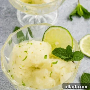 Lime sorbet scoops garnished with fresh mint and lime slices in glass dessert bowls.