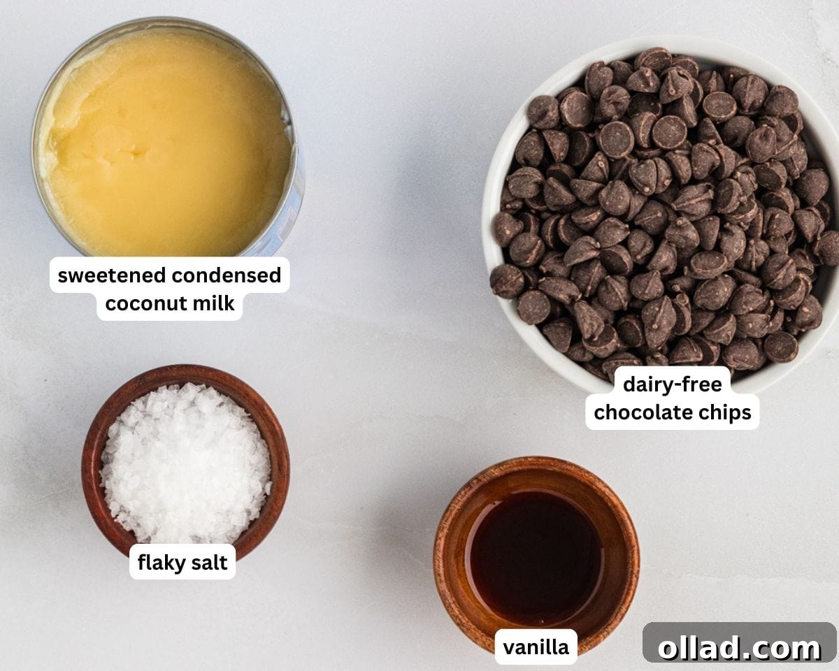 dairy-free and gluten-free chocolate fudge ingredients