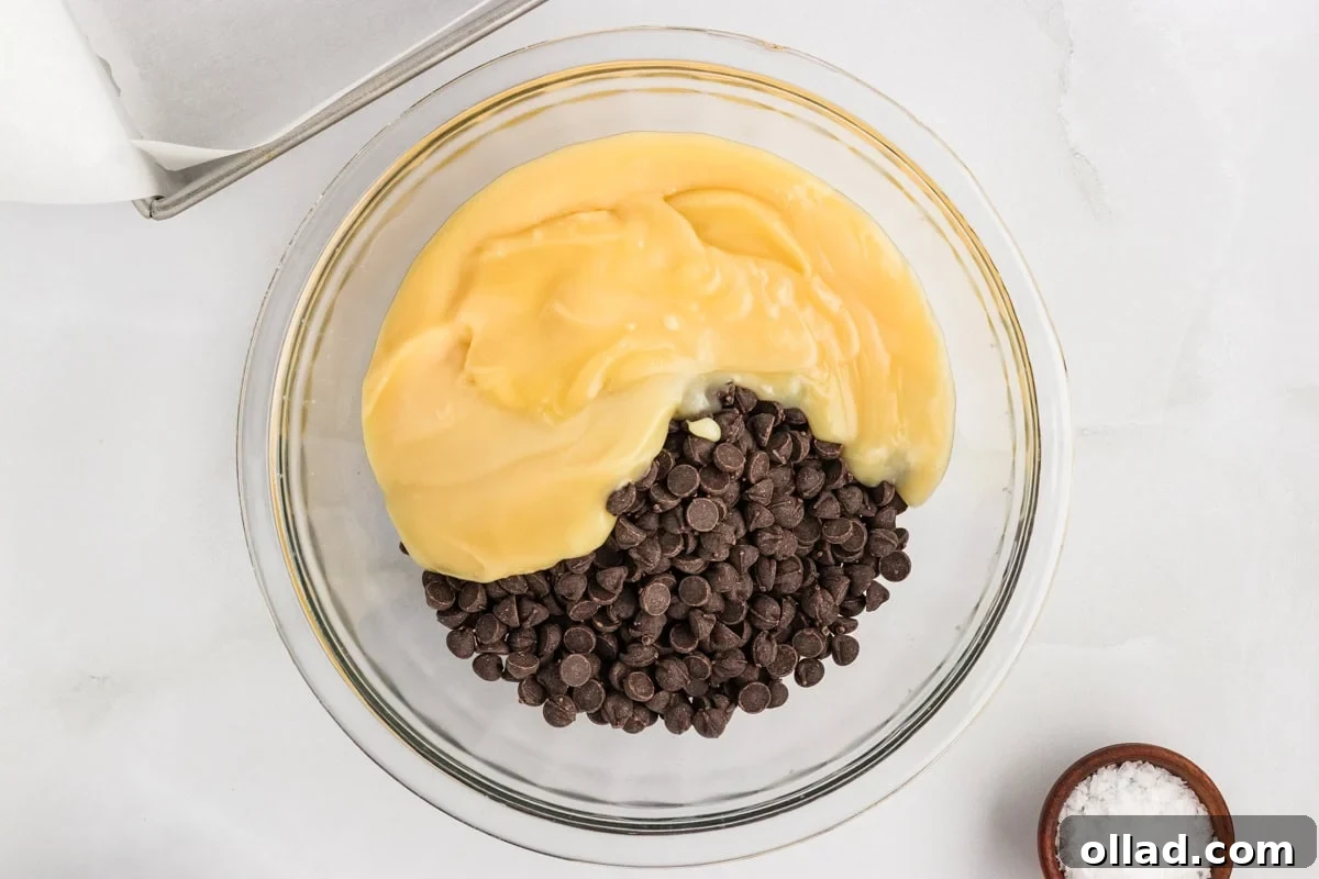 Overhead view of sweetened condensed coconut milk and dairy-free chocolate chips in a glass bowl before melting