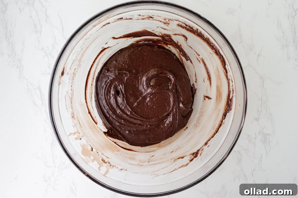 Fudgy gluten-free brownie batter after the cocoa powder, flour, and salt have been stirred in.