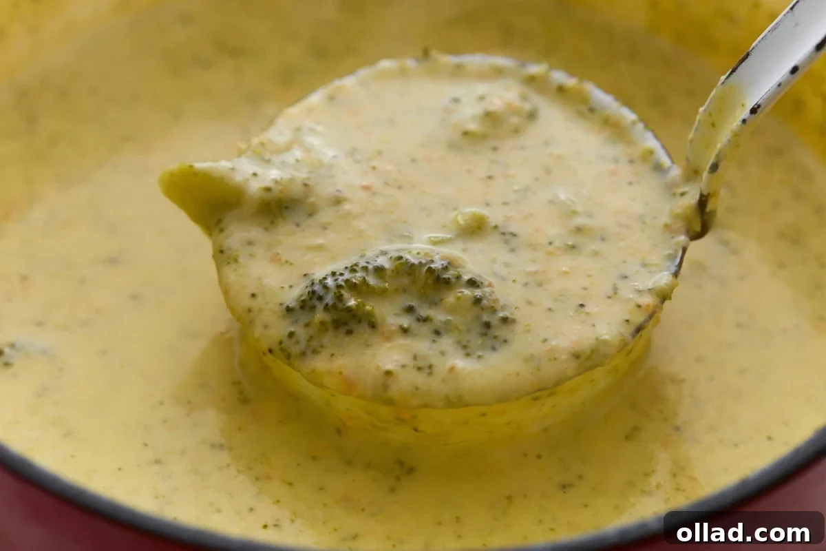 A ladle lifting a scoop of thick, creamy broccoli cheddar soup with a visible broccoli floret, straight from the pot.