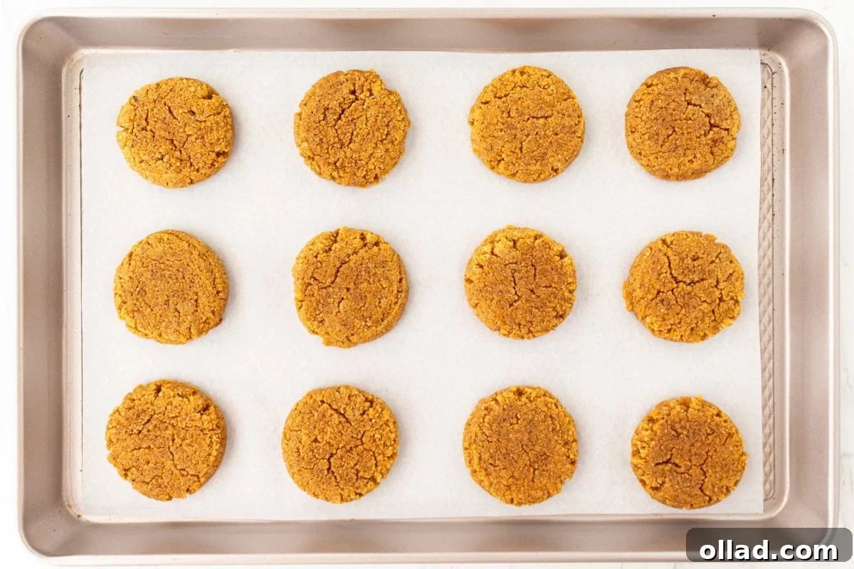 Baked gluten-free almond flour pumpkin cookies cooling on a parchment-lined baking sheet.