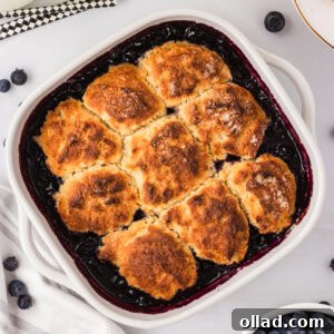 Freshly baked gluten-free blueberry cobbler