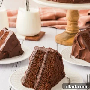A slice of rich, two-layer chocolate cake with creamy chocolate frosting