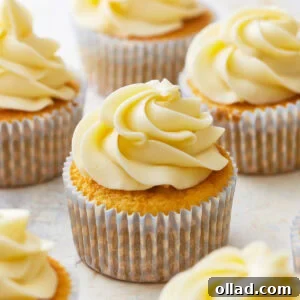 frosted gluten-free vanilla cupcakes in cupcake liners.